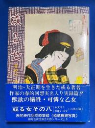 或る女　その八　淫悦記　