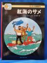 紅海のサメ