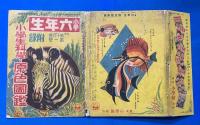 小學生科學・原色図鑑　<小學六年生 昭和十一年4月號附録>