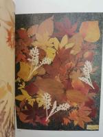 花　山口イ子押し花選集