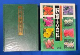 野草大百科