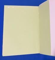 カモメ識別ガイド