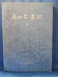 藤の台遺跡　Ⅲ