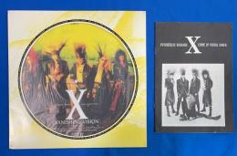 LPレコード　 X エックス / Vanishing Vision　ピクチャー・レコード (ソノシート欠)