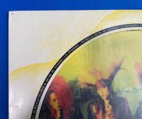 LPレコード　 X エックス / Vanishing Vision　ピクチャー・レコード (ソノシート欠)