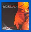 LPレコード　Canyon – Agitator – Vinyl (12"), 2001 [r107031]