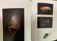 悉有仏性　全てのものに仏性がある : 佐藤辰美コレクション