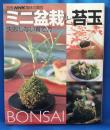 ミニ盆栽と苔玉 : 失敗しない育て方 ＜別冊NHK趣味の園芸＞