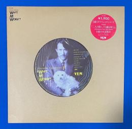 LPレコード　高橋幸宏 / What, Me Worry? ...