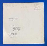 LPレコード　戸川純 / 玉姫様