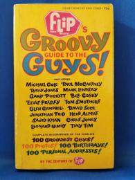 （英文）Flip Teen Library's Groovy Guide to the Guys
