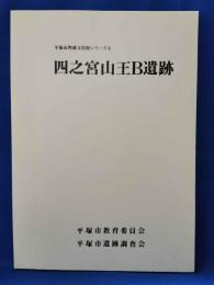 四之宮山王B遺跡 ＜平塚市埋蔵文化財シリーズ 4＞