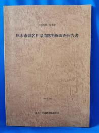 神奈川県　厚木市恩名片岸遺跡発掘調査報告書