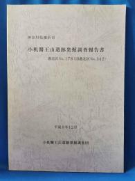小机醫王山遺跡発掘調査報告書 : 神奈川県横浜市 : 港北区No. 178(旧港北区No. 342)