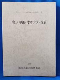 港北ニュータウン地域内埋蔵文化財調査報告