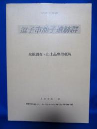 逗子市池子遺跡群 平成6年度