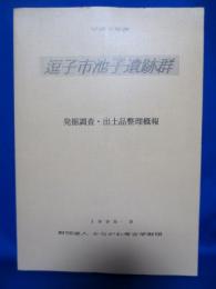 逗子市池子遺跡群 平成6年度