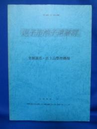 逗子市池子遺跡群 平成4年度