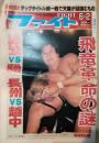 週刊ファイト　第1061号　＜1988年6月2日＞　〔飛竜革命の謎〕ほか