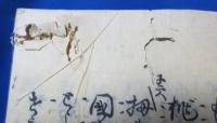 當流拾遺大成謳 (當流謳直伝元本也) 5、8、10、15の4冊