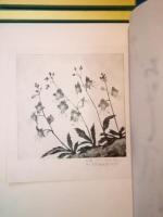 <限定特製本>続　井上員男の山の花　版画文集