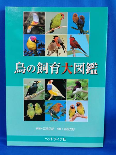 鳥の飼育大図鑑 江角正紀 解説 立松光好 写真 古本 中古本 古書籍の通販は 日本の古本屋 日本の古本屋 鳥の飼育大図鑑 江角正紀 解説 立松光好 写真 古本 中古本 古書籍の通販は 日本の古本屋 日本の古本屋
