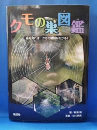 クモの巣図鑑 : 巣を見れば、クモの種類がわかる!