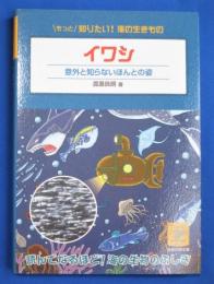 イワシ : 意外と知らないほんとの姿