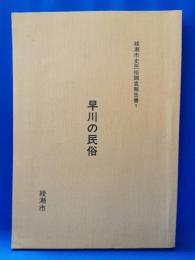 綾瀬市史民俗調査報告書