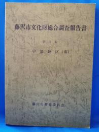 藤沢市文化財総合調査報告書