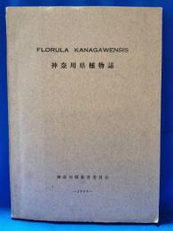 神奈川県植物誌　1958　FLORURA KANAGAWENSIS