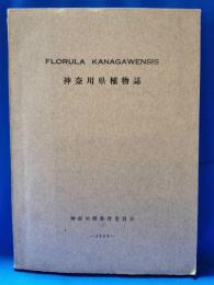 神奈川県植物誌　1958　FLORURA KANAGAWENSIS