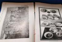 婦人画報　大正四年一月巻 （第104号）