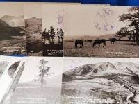絵葉書・国立公園　久住山の景観　15枚（1枚欠）