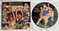 SUPER ANGELS　全日本女子プロレス・テーマ曲集 (ピクチャー盤)　LPレコード