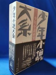 少年小説大系 別巻 5 少年小説研究