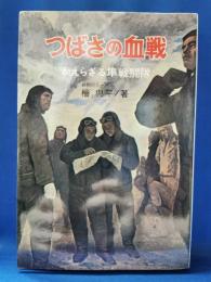 つばさの血戦 : かえらざる隼戦闘隊