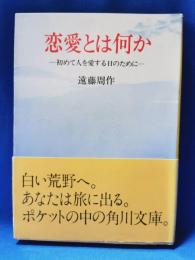 恋愛とは何か : 初めて人を愛する日のために