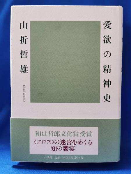 岩波 世界児童文学全集 全30巻揃 / 藤沢 湘南堂書店 / 古本