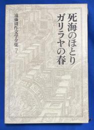 死海のほとり ; ガリラヤの春