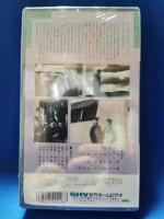 野菊の如き君なりき　[VHS]