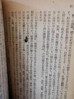 ヨーロッパ文明史　全2巻