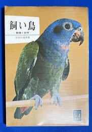 飼い鳥 : 観賞と飼育