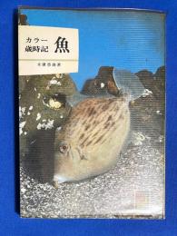 カラー歳時記魚