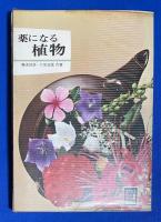 カラーブックス　5冊組　【食べられる野草/薬になる植物/洋酒入門/熱帯性海水魚/日本の魚】