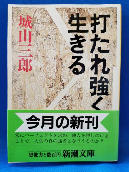 禅の歴史(伊吹敦 著) / 藤沢 湘南堂書店 / 古本、中古本、古書籍