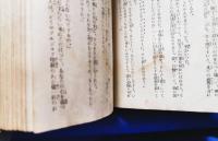 陸の人魚