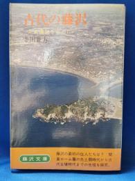 古代の藤沢　考古遺跡を中心に