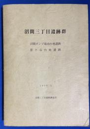 沼間三丁目遺跡群 : 沼間ポンプ場南台地遺跡・菅ケ谷台地遺跡