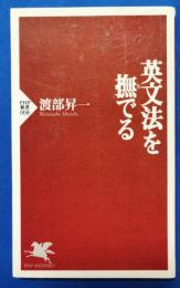 英文法を撫でる